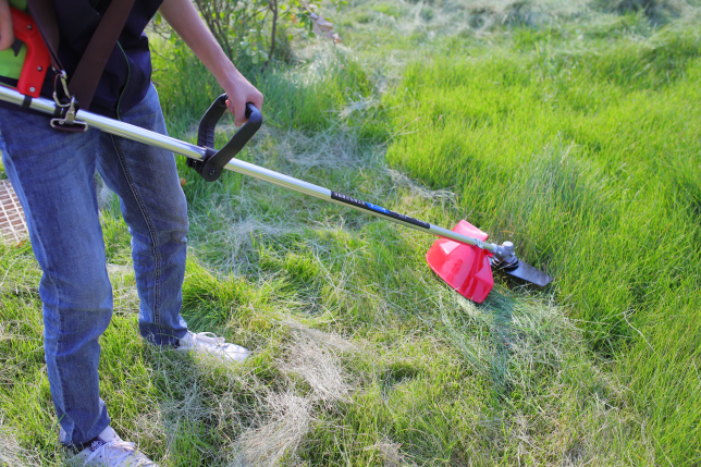 電動(dòng)割草機